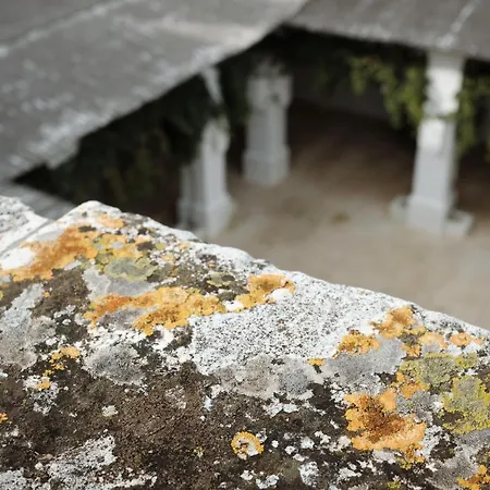 ファームステイ Masseria Le Carrube *