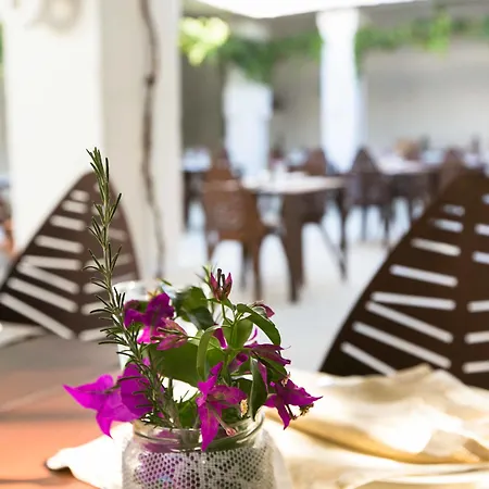 Masseria Le Carrube Gospodarstwo agroturystyczne Ostuni