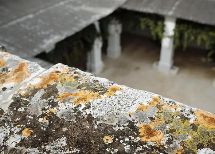 Farm stay Masseria Le Carrube *